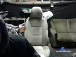 johnybnk chaturbate profile picture