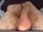 joseluis_444 chaturbate profile picture