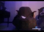 joynt666 chaturbate profile picture