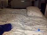 jsondick123 chaturbate profile picture
