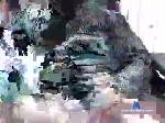 julyguy7 chaturbate profile picture