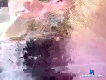 just4dmoney chaturbate livecam performer profile