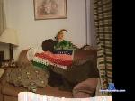 justdoug chaturbate profile picture