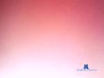 kallepan21742174 chaturbate profile picture