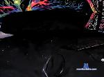 kingdawgg77 chaturbate profile picture