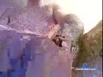 kinkybabybird chaturbate profile picture