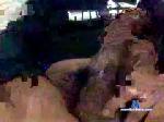 kissboy1 chaturbate profile picture