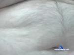 kpitup4fun chaturbate profile picture