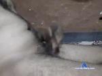 kshetrilax chaturbate profile picture