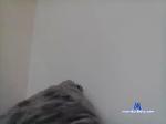 kuromafani chaturbate profile picture