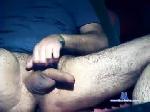 lacasadelplacer chaturbate profile picture