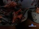 laceypanties2 chaturbate profile picture