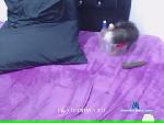 latinn_hot19 chaturbate profile picture