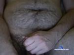 lavnr chaturbate profile picture
