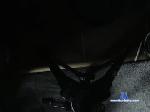 lickerxx46 chaturbate profile picture