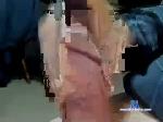 lightning509x chaturbate profile picture