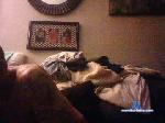 lilmanbigdick13 chaturbate profile picture