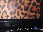 lilu_cat chaturbate profile picture