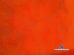 linda_strawberries chaturbate profile picture
