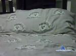 lingette chaturbate profile picture