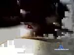 lokeyman chaturbate profile picture