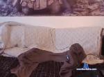 lolfun66 chaturbate profile picture