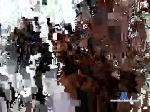 lolita105 chaturbate profile picture