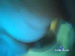 long_dick_king chaturbate profile picture
