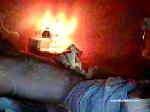 lostin80_s chaturbate profile picture