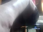 maddaddy1234 chaturbate profile picture