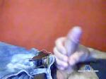 maialeloco chaturbate profile picture