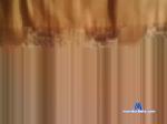 majoody0099 chaturbate profile picture