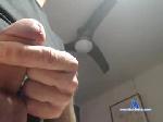 marom1313 chaturbate profile picture