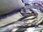 maxbesto chaturbate profile picture