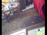 maxinchastity chaturbate profile picture
