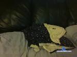 membermuncher chaturbate profile picture