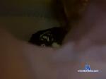 milf0415 chaturbate profile picture