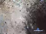 milo2332o chaturbate profile picture