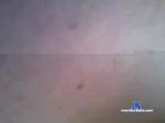 mirek7654321 chaturbate profile picture