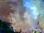 missedcast chaturbate profile picture