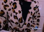 misslorenne chaturbate profile picture