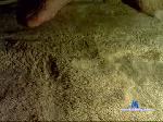 missyfeet27 chaturbate profile picture