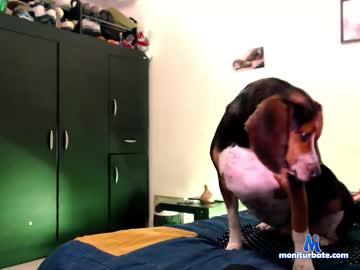 misterdickxxx chaturbate livecam performer profile