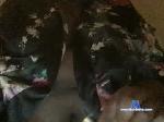 mistressmoetx chaturbate profile picture