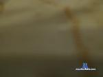 mistymayy2500 chaturbate profile picture