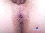 mmmdaizy chaturbate profile picture