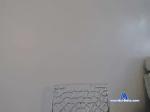 modelo366 chaturbate profile picture