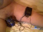 mouse1701a chaturbate profile picture
