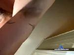 moveyourhandbia chaturbate profile picture