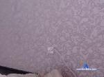 mrs_eva chaturbate profile picture